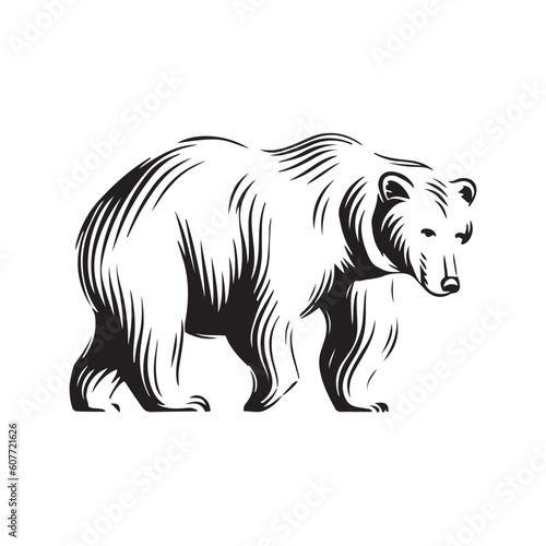 Bear Vector illustration. Bear Vintage Logo