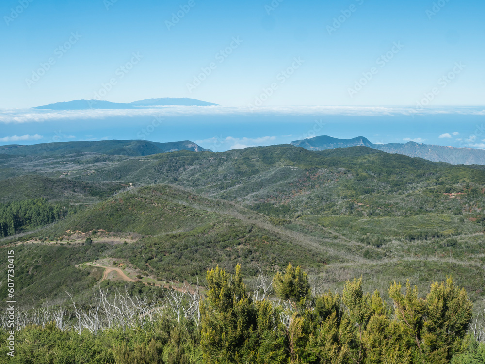View on La Palma island over laurel tree forest and hills of Garajonay National Park seen from peak of Alto de at Garajonay mountain. White clouds and blue sky above. La Gomera, Canary Islands, Spain.