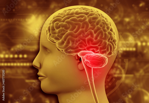 Human brain anatomy on modern scientific background. 3d illustration.. photo
