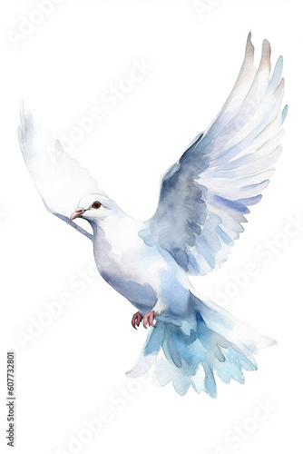 dove watercolor clipart cute isolated on white background