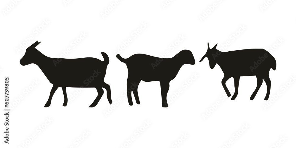 vector sheep silhouette, vector illustration