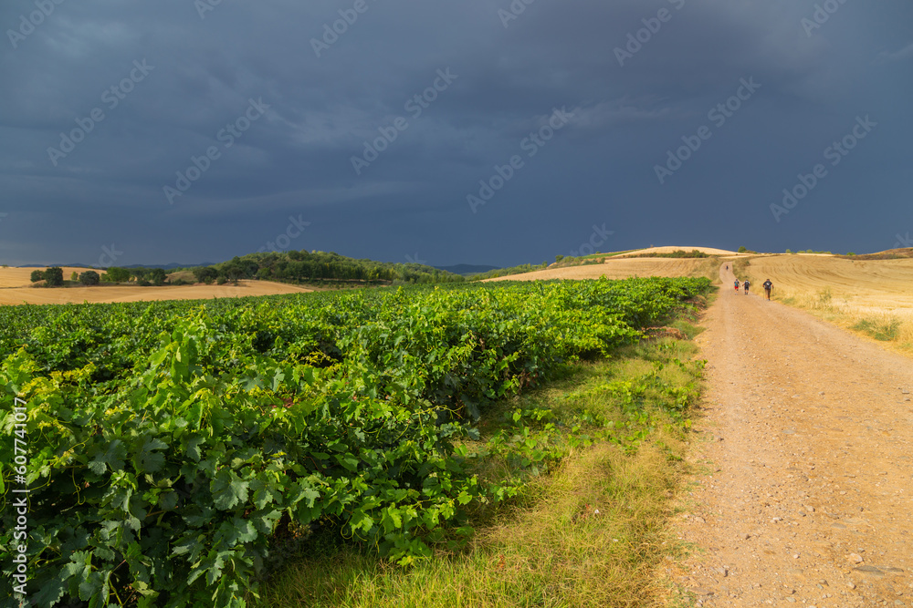 Fototapeta premium Pilgrims walk along the Camino De Santiago