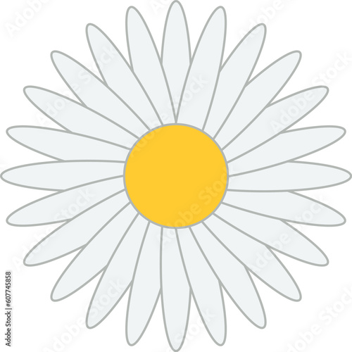 daisy isolated on white flowers icon