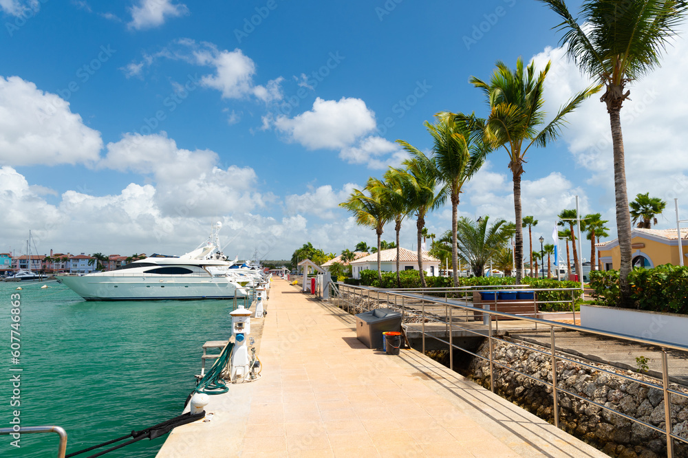 yacht harbour with pier dock and palm trees. summer yacht in harbour with pier.