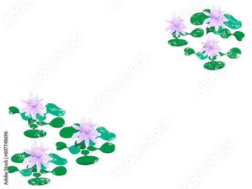 はんこ風のほてい草