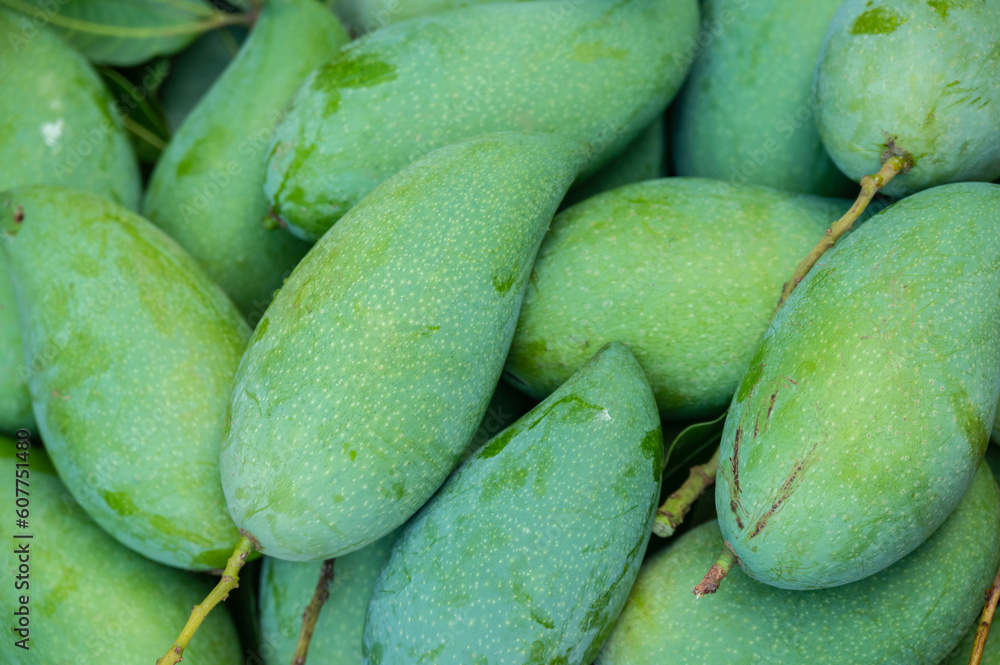 Foto de Fresh mangoes after picking from mango tree. Mangoes are a