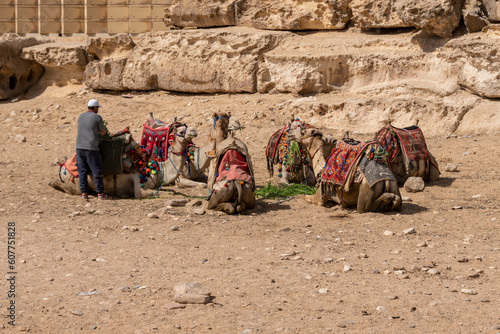 Paisaje con dunas de arena y con caravanas de camellos y beduinos. Egipto  © DiegoCalvi
