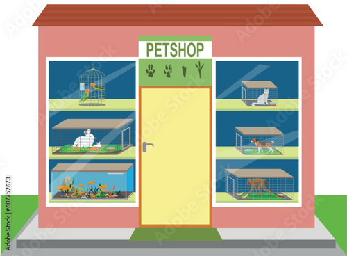 animals in the pet store