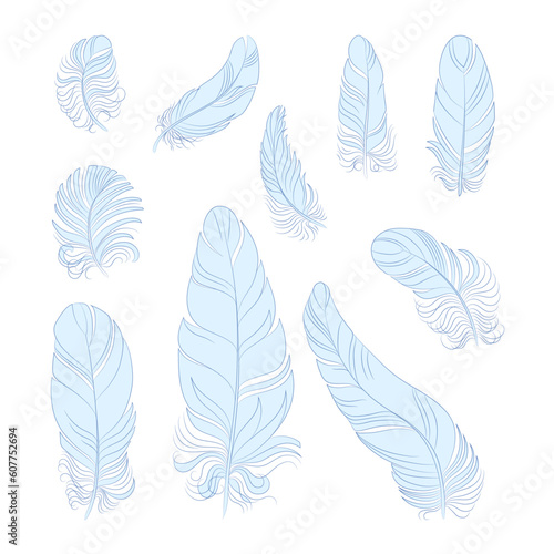 set of isolated vector feathers