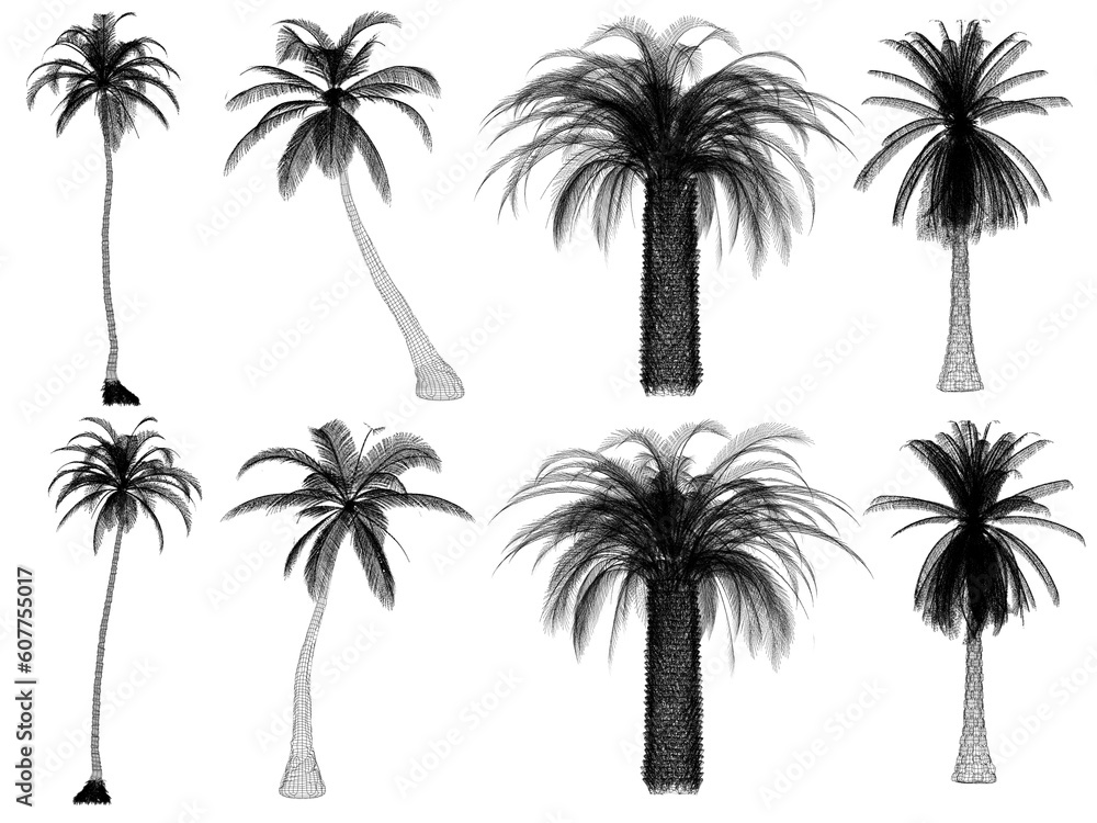 set of trees png on white background. 3d rendering wire frame set of trees png on white background. 3d rendering wire frame