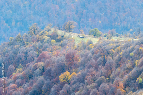 View of Haghartsin valley from Mount Dimats slope on sunny autumn day. Dilijan National Park  Armenia.