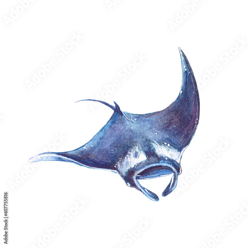 Watercolor realistic stingray isolated on white background. Illustration for ecological article, blogs, greenpeace, prints, tags.