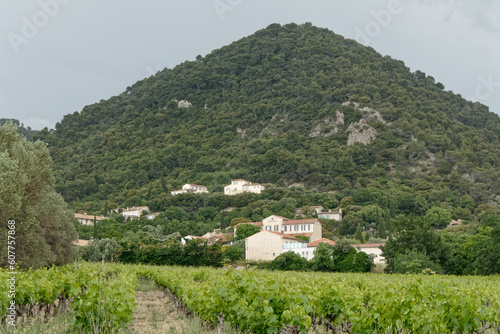 Colline Cheval Long et vignoble vus de Sablet en Vaucluse - France.