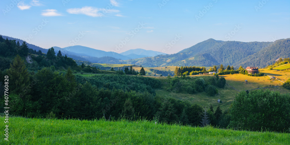 fresh morning and peacefulness of the rural landscape in mountains. scenery with forested rolling hills and grassy meadows. ridge beneath a blue summer sky