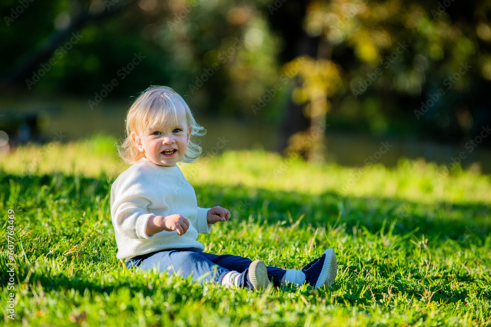 Cute laughing toddler enjoying a summer day in a park while sitting on the grass. Adorable baby sitting on the grass in a park on a sunny day. Cute cheerful small boy alone on the grass smiling Cute laughing toddler enjoying a summer day in a park while sitting on the grass. Adorable baby sitting on the grass in a park on a sunny day. Cute cheerful small boy alone on the grass smiling