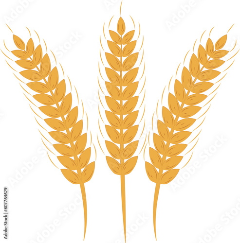 Golden Agriculture Wheat Ears Frame Illustration Graphic Element Art Card