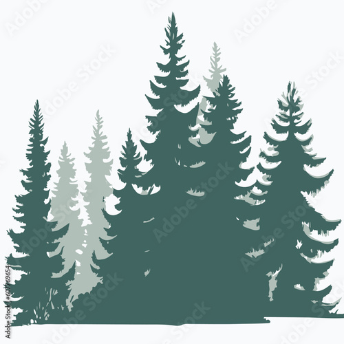 Pine trees silhouettes on a white background. Vector illustration. © poramet
