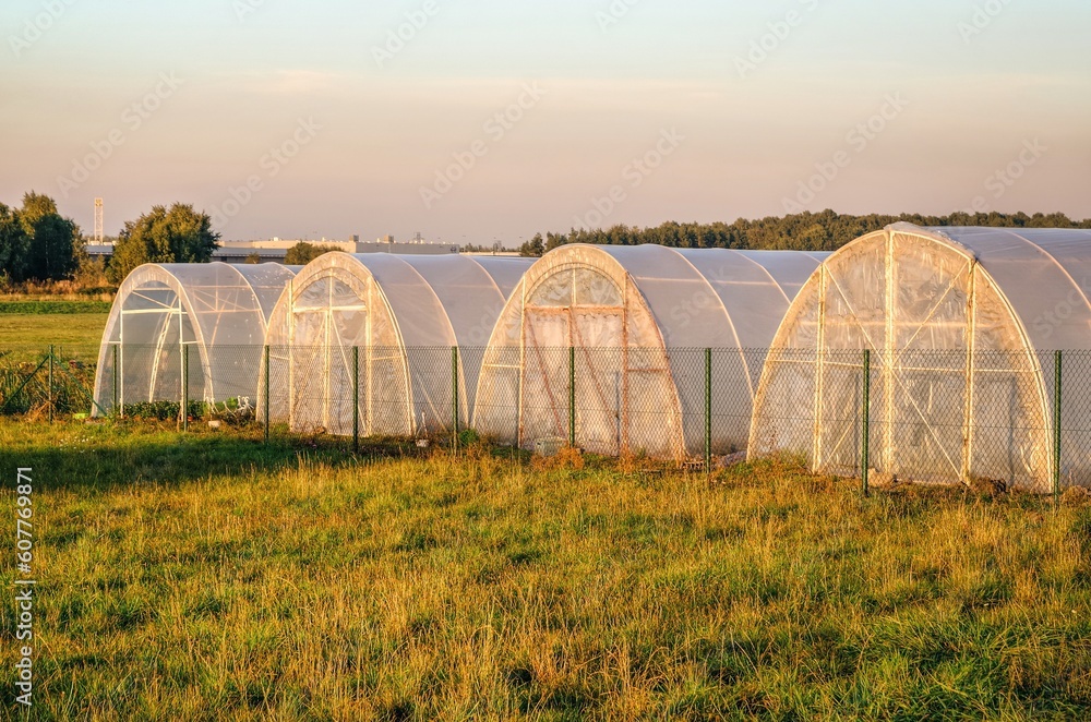 Group of greenhouses in rural landscape. Polythene tunnel as a plastic greenhouse on the meadow.