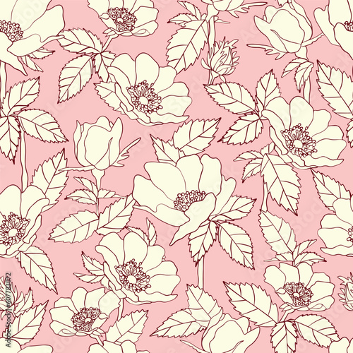 White rosehip flowers on a pink background. Hand drawn seamless vector pattern. Botanical monochrome print for fabric, packaging, paper. wedding illustration