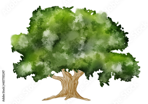 watercolor illuastration of green tree on white background photo