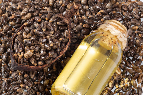 Billede på lærred Ricinus communis - Dried seeds And Oil From The Fruit Of The Castor Bean Plant