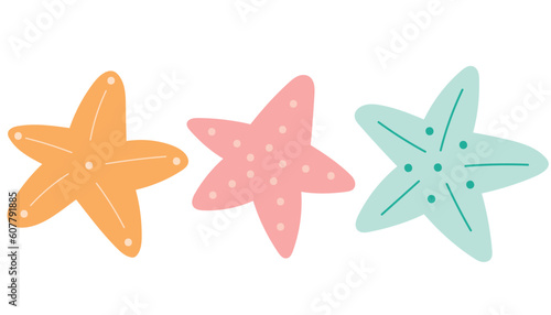Sea star caribbean starfish decorative elements of marine animals, ocean fauna