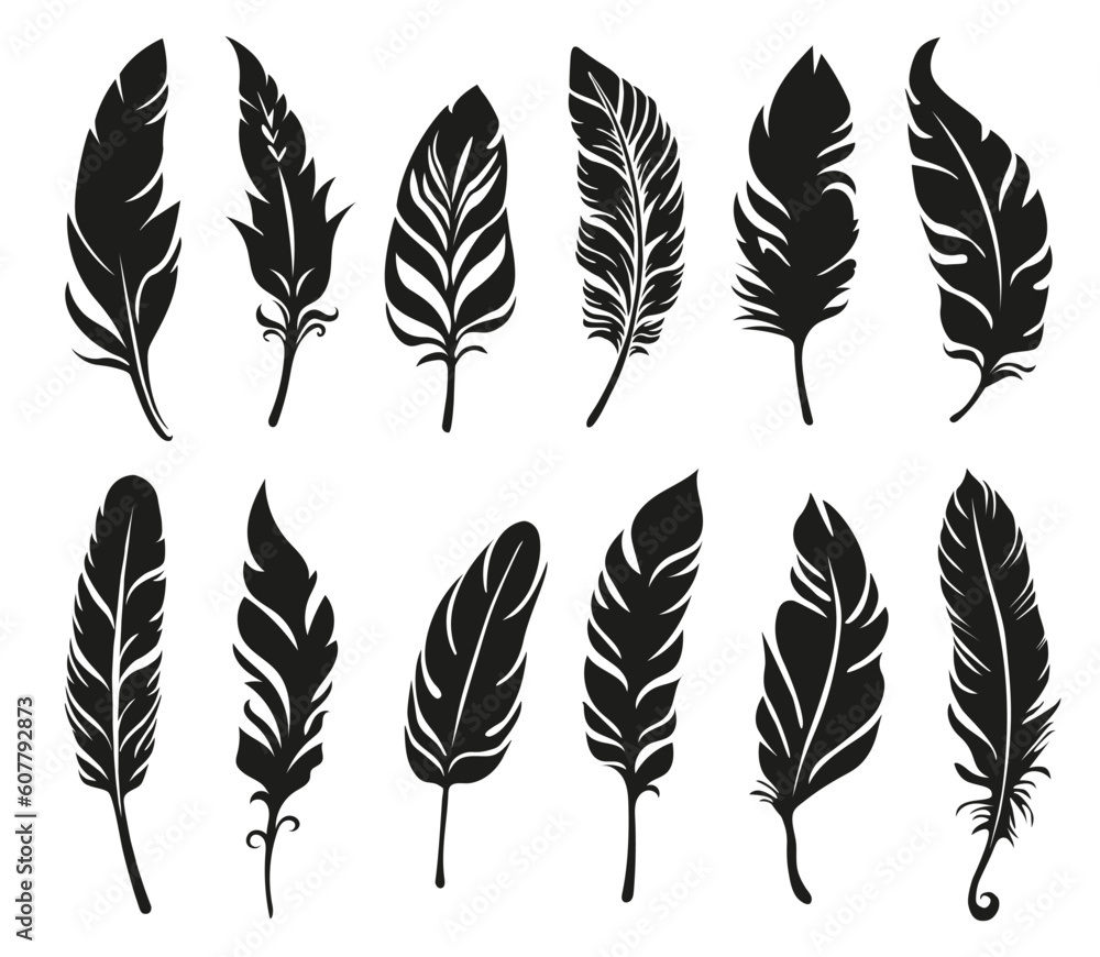 Different vector bird feather silhouettes. Plume collection. Different vector bird feather silhouettes. Plume collection.