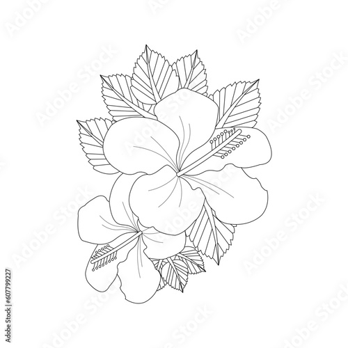 Flower Coloring page Hand Drawn Vector Sketch Line Art 