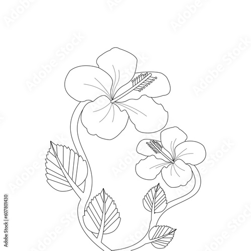 hand drawn flowers Coloring page Vector Sketch Line Art 
