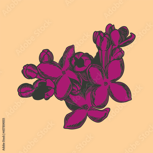 Hand drawn flower botanical...