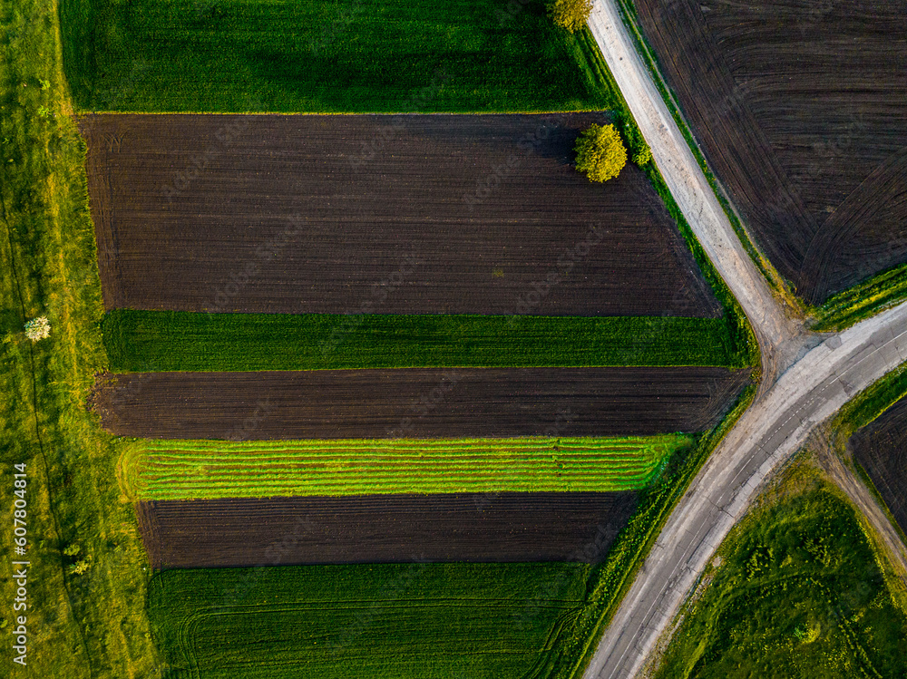 aerial view of symmetrical parallel lines of cultivated field with 2 roads forming symbol V