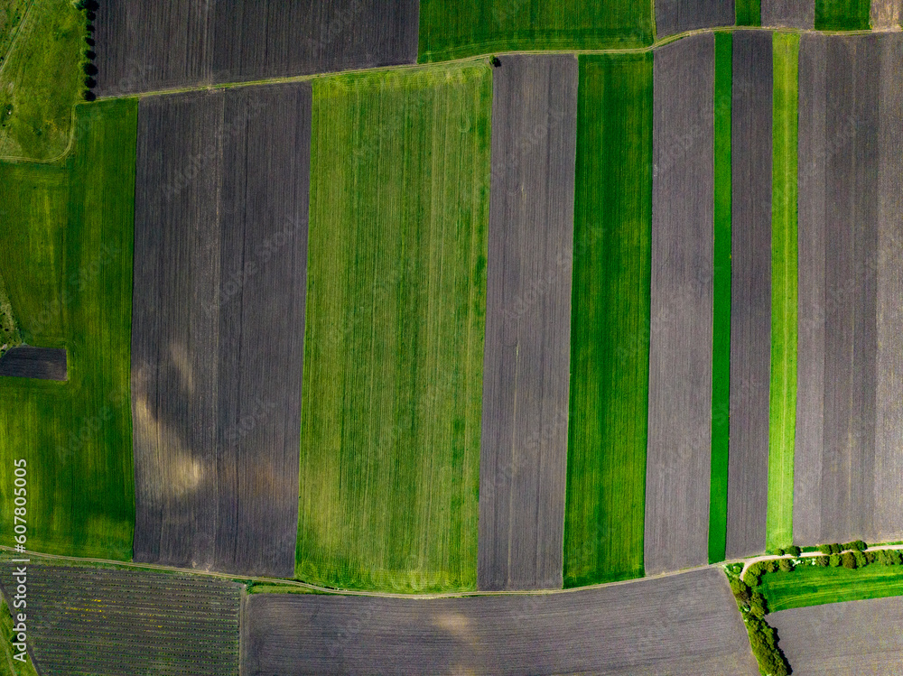 aerial view of symmetrical lines of fields during spring