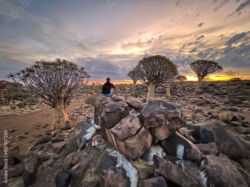 Quiver Tree Forest photo