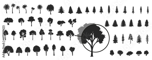 Tree and forest silhouettes on the white background