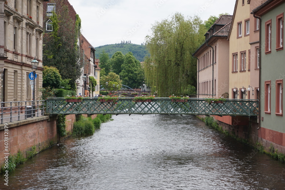 Eine Stahlbrücke über die Alb in Ettlingen der Region Karlsruhe