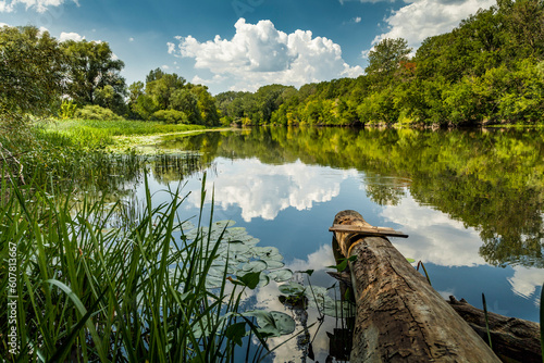 View of the pond and reeds on a windless summer day. Tree with bench for fishing. Reflections of clouds and trees in the water of the river. Siversky Donets River, Luhansk reg., Ukraine photo