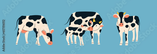 Spotted cows set. Vector flat style illustration