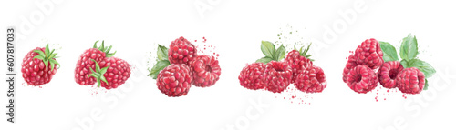 Set of ripe raspberries on white background