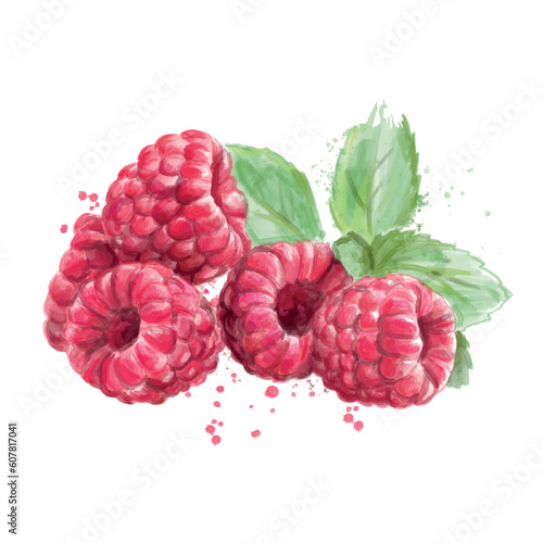 Ripe raspberries on white background