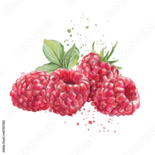 Ripe painted raspberries on white background