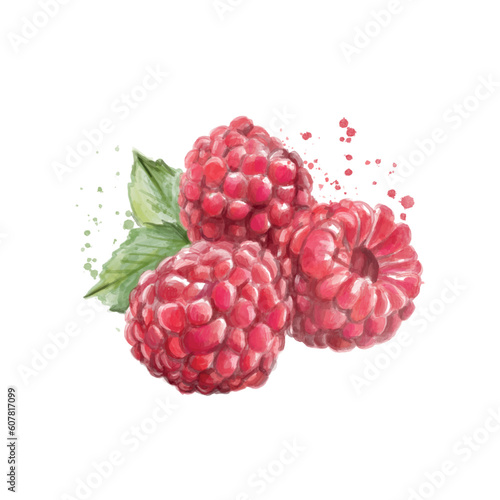 Ripe painted raspberries on white background