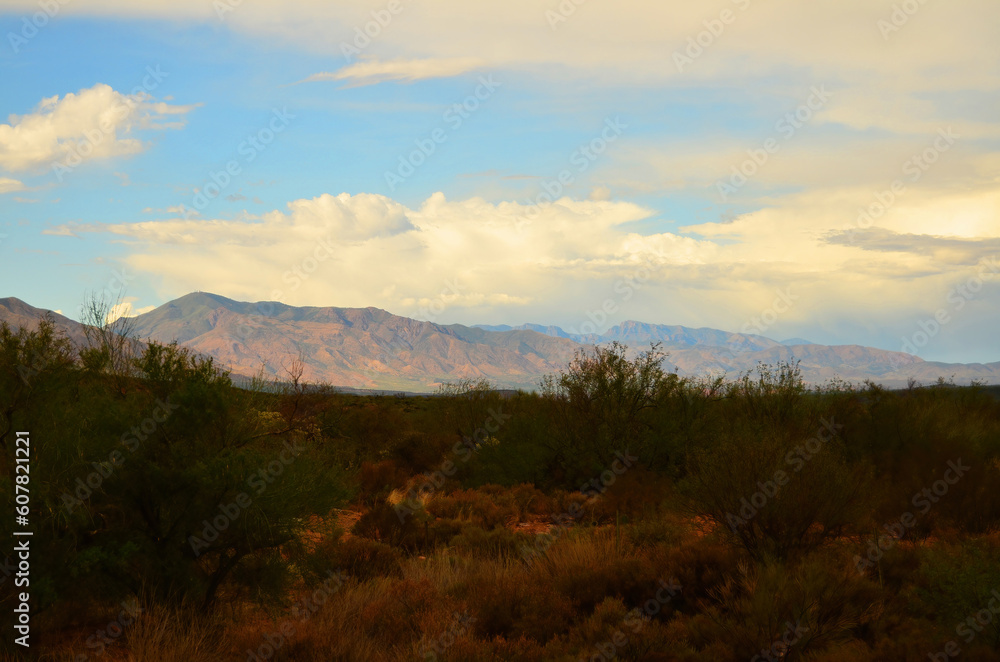 Mountains Surrounding Roosevelt Lake Arizona
