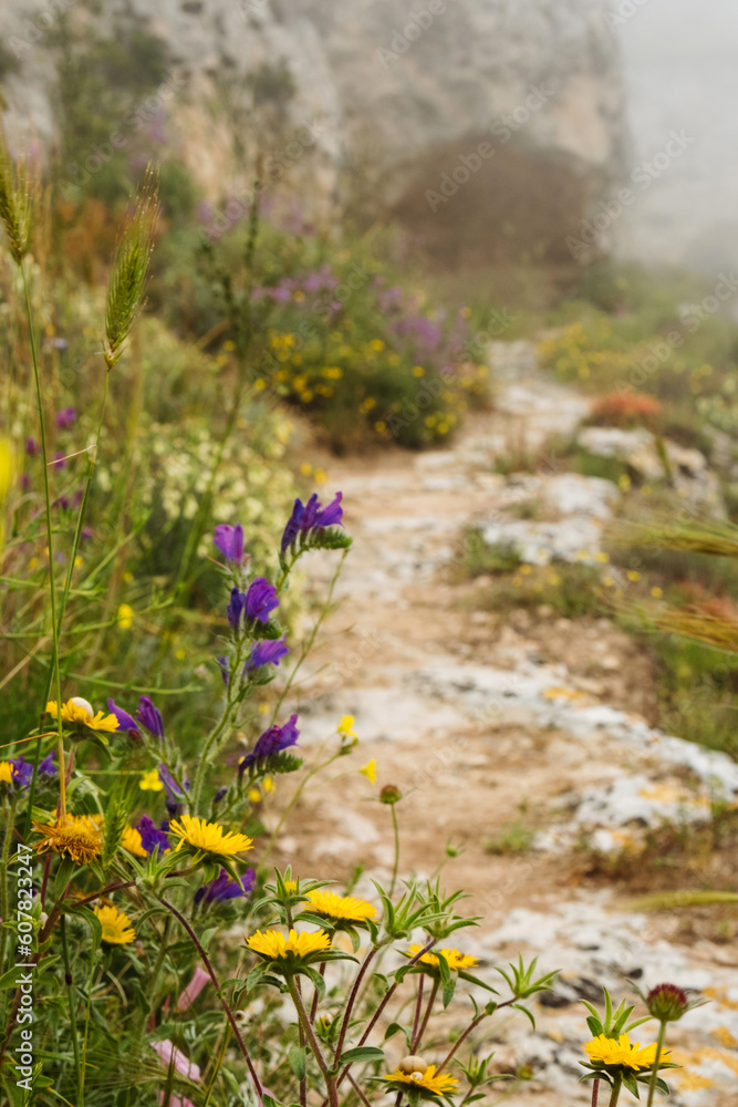 Obraz premium Tracking trail to old cave city Matera Italy in the meadow of Murgia Materana natural park in Basilicata Italy