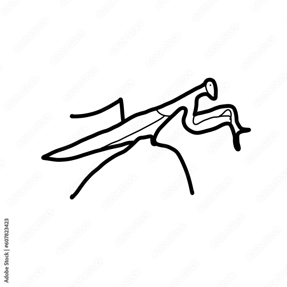 grasshopper insect animal hand drawn doodle grasshopper insect animal hand drawn doodle