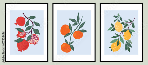 Abstract contemporary posters with different fruits, lemons, pomegranate, orange, summer design, aesthetic minimalist backgrounds set, modern trendy wall decoration