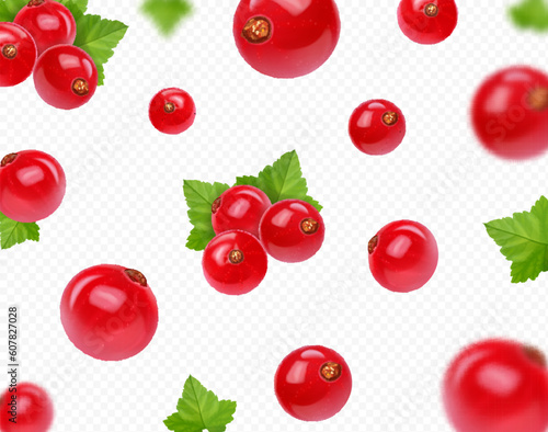Realistic red currant berry with green leaf falling on transparent background. Red currant berry in motion. Vector 3d illustration.