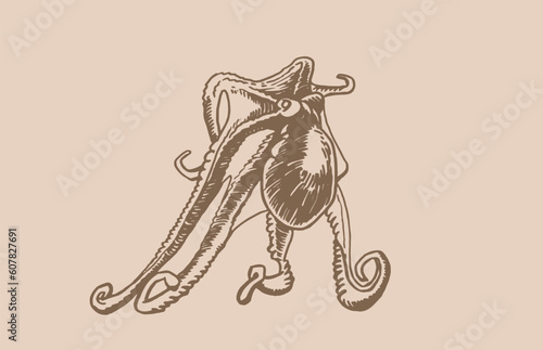 Graphical seafood vintage illustration, vector octopus on sepia background. Underwater habitant, delicatessen