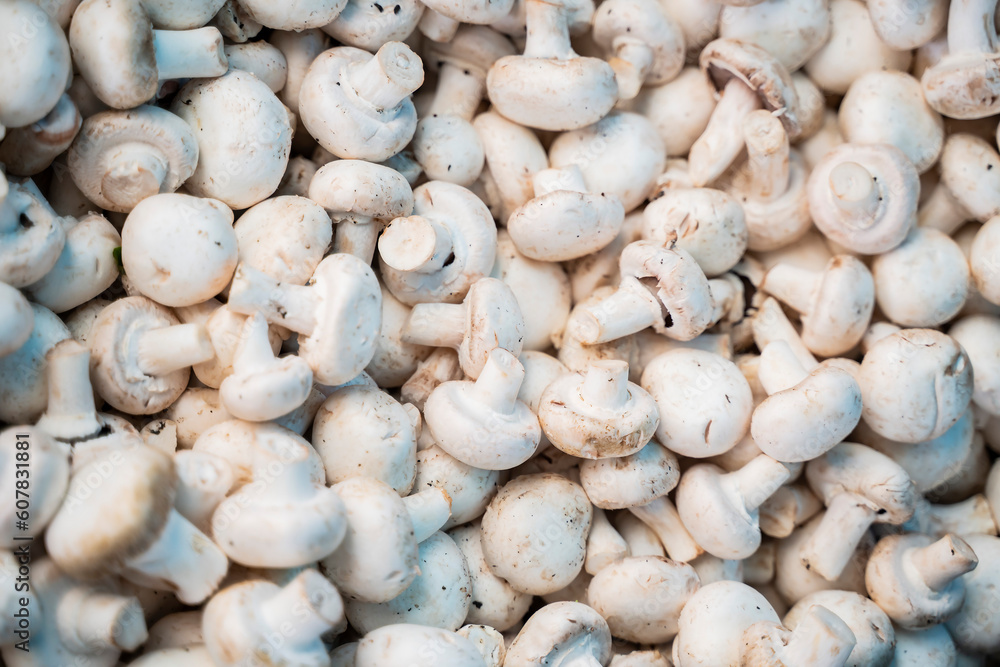 background a lot of mushrooms and champignons on grocery vegetable market background a lot of mushrooms and champignons on grocery vegetable market