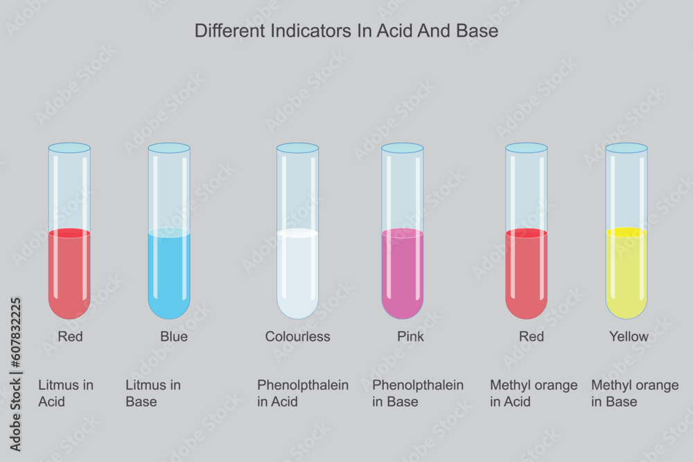 Different indicators litmus, phenolpthalein, methyl orange in acid and base solutions. chemical illustration.