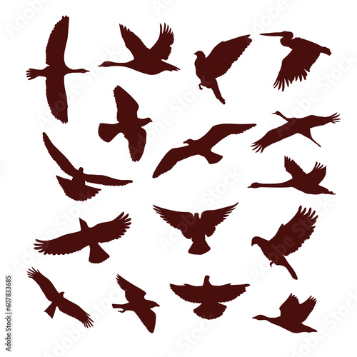 Flying bird dark brown silhouette set vector flat illustration. Flight winged animals